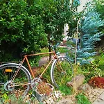 Haus Breser Apartament Wasserliesch