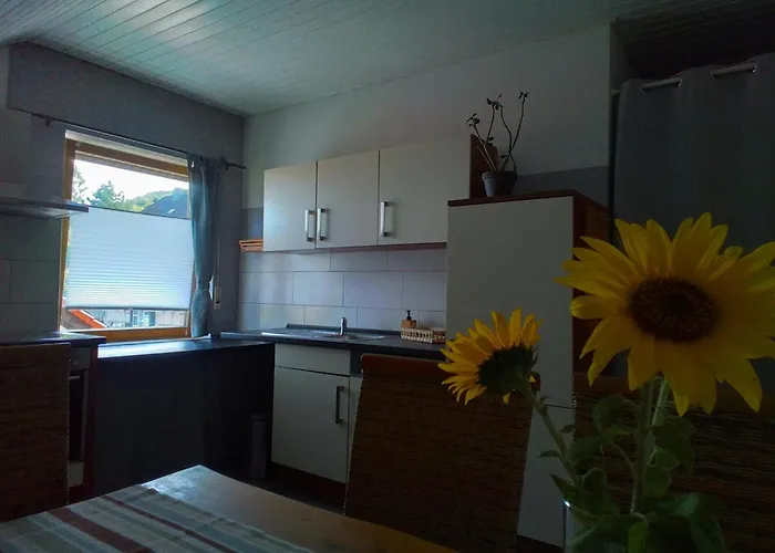 Apartamento Haus Breser *